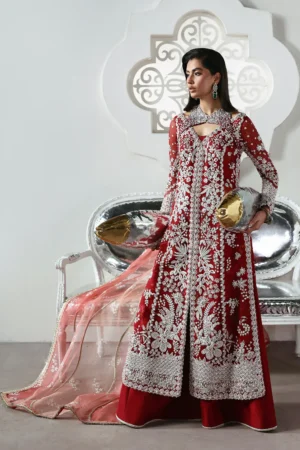 Soraya Lumene Embroidered Organza Unstitched 3Pc Suit - Solara