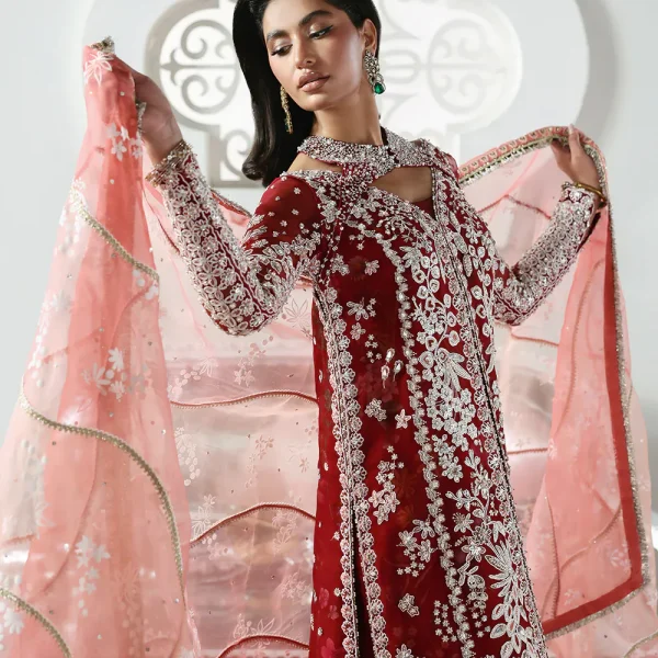 Soraya Lumene Embroidered Organza Unstitched 3Pc Suit 2nd